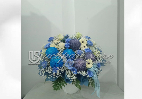 IMG-PRODUCT